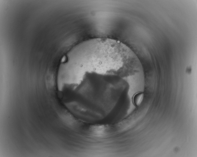 X0000103950131200809191450