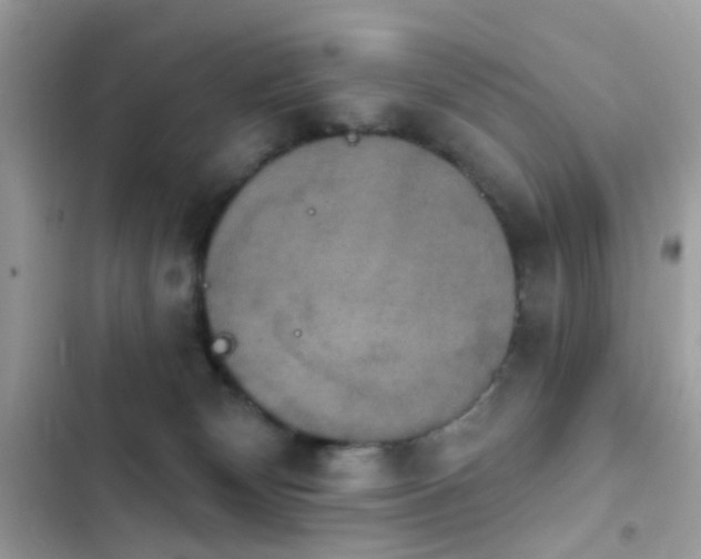 X0000103950132200809191450