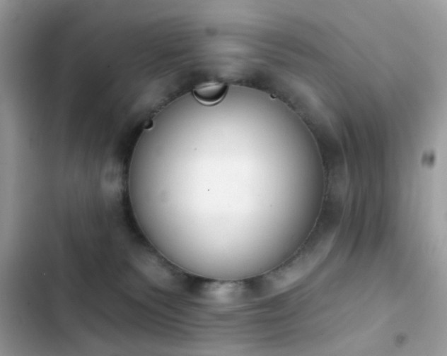 X0000103950135200809191450
