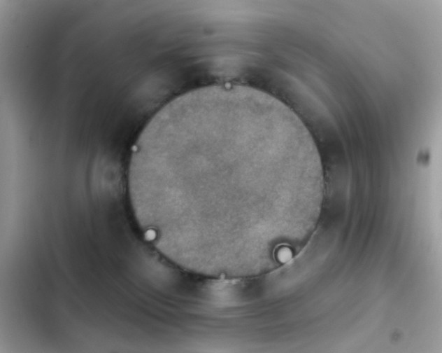 X0000103950136200809191450