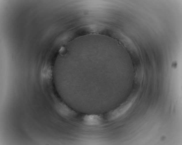 X0000103950137200809191450