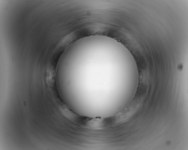 X0000103950138200809191449