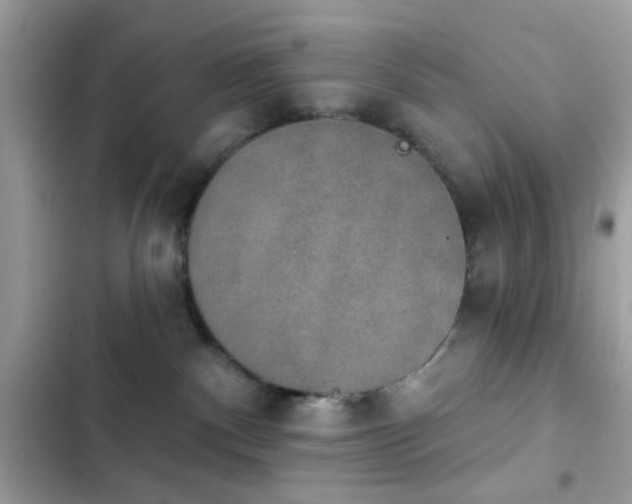 X0000103950140200809191449
