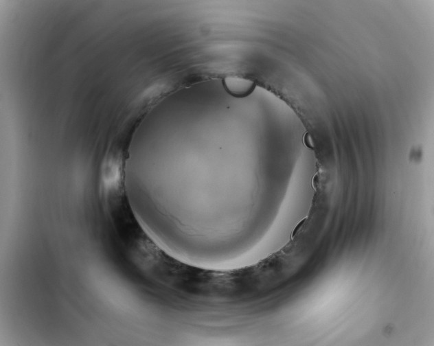 X0000103950143200809191449