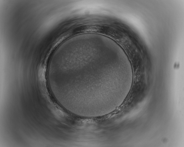 X0000103950146200809191449
