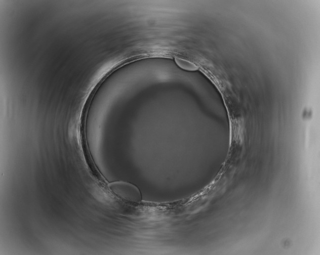 X0000103950147200809191449