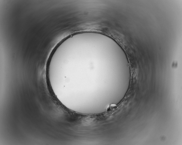 X0000103950148200809191449