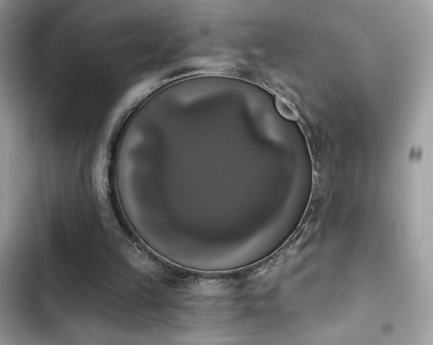 X0000103950149200809191449