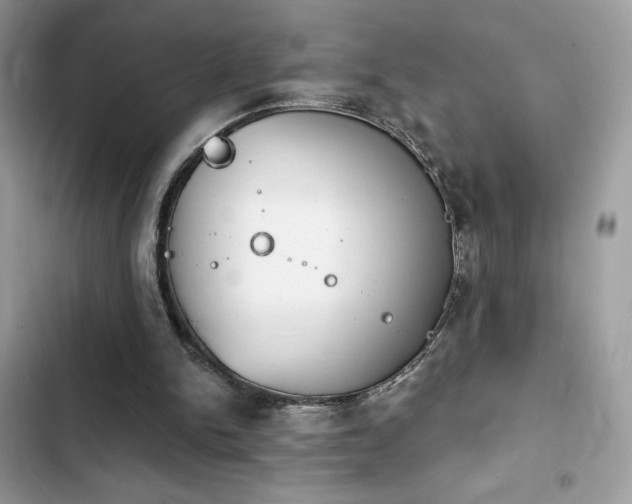 X0000103950150200809191449