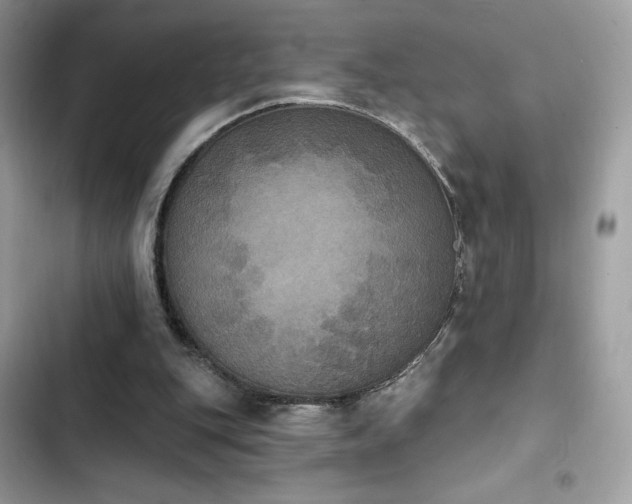 X0000103950151200809191449