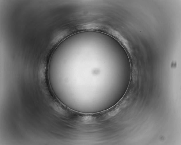 X0000103950153200809191449