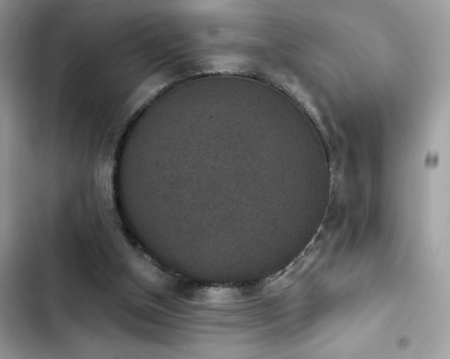 X0000103950154200809191449