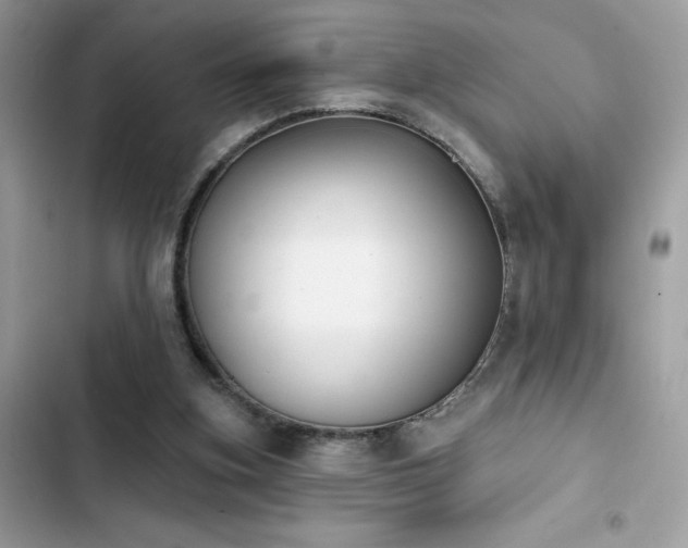 X0000103950155200809191449