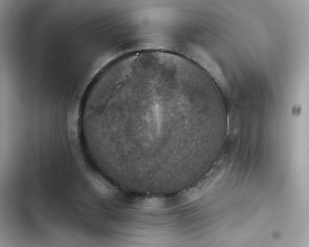 X0000103950156200809191449