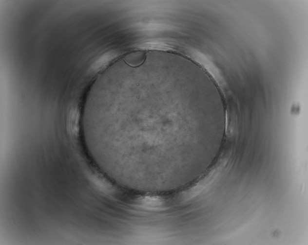 X0000103950157200809191449