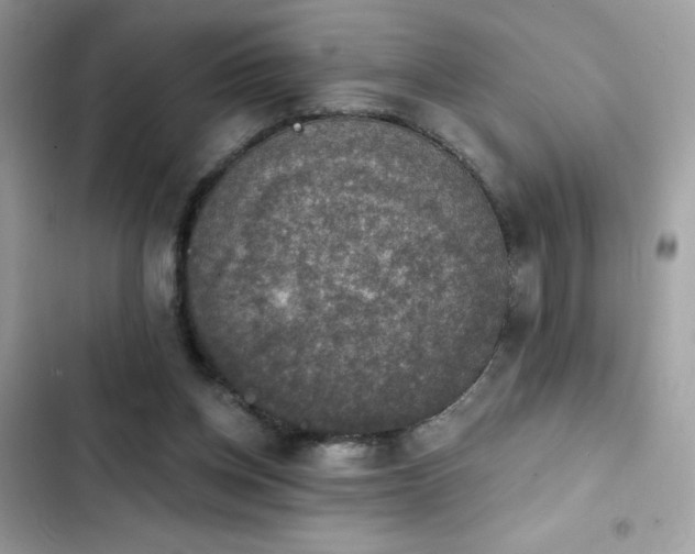 X0000103950158200809191449