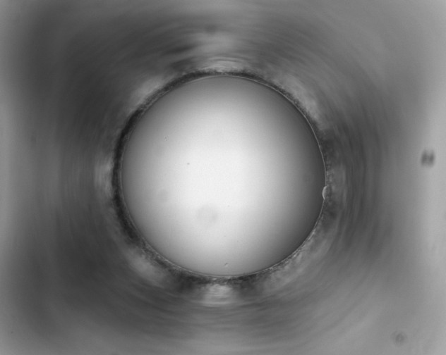 X0000103950159200809191449