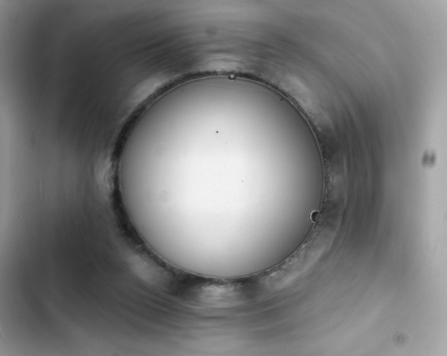 X0000103950160200809191449