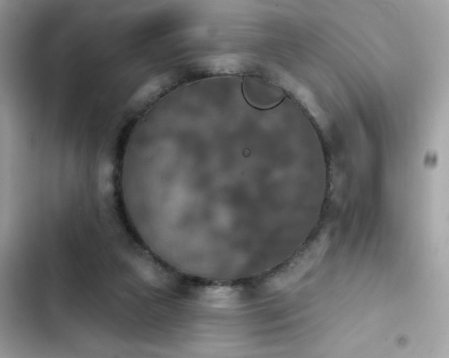 X0000103950161200809191449