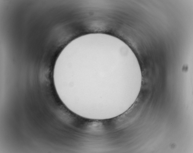 X0000103950162200809191449