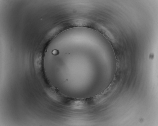 X0000103950163200809191449
