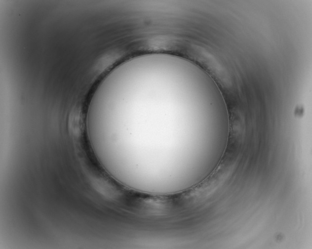X0000103950164200809191449
