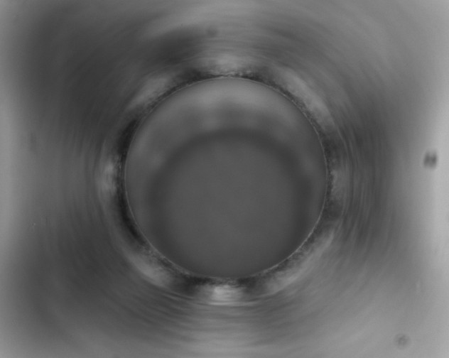 X0000103950165200809191449