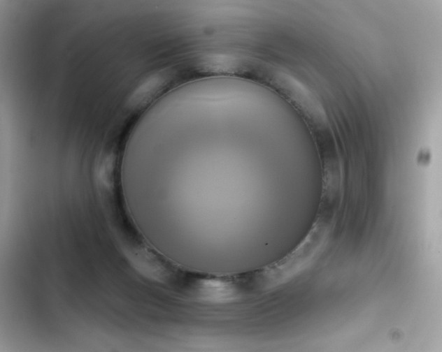 X0000103950167200809191449