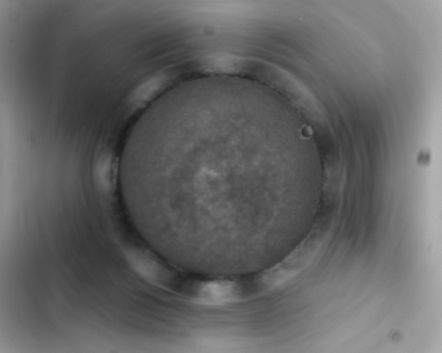 X0000103950168200809191449