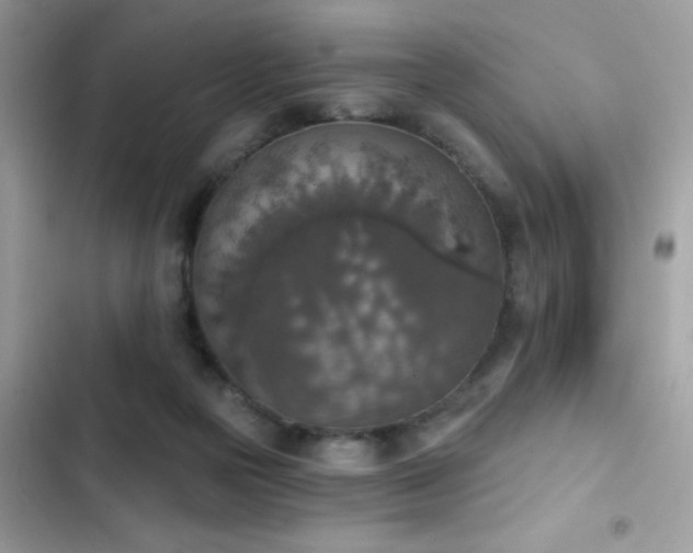 X0000103950169200809191449