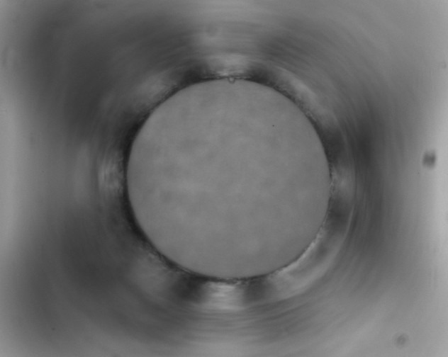 X0000103950170200809191449