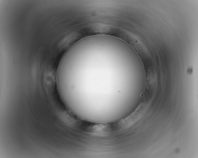 X0000103950172200809191449