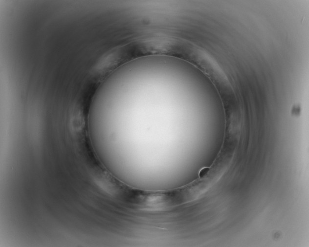 X0000103950173200809191449