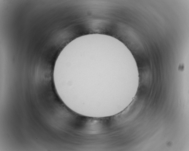 X0000103950174200809191449