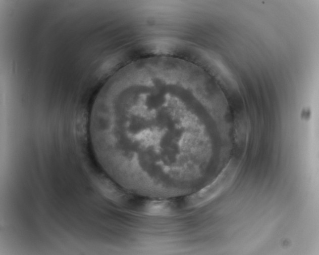 X0000103950175200809191449