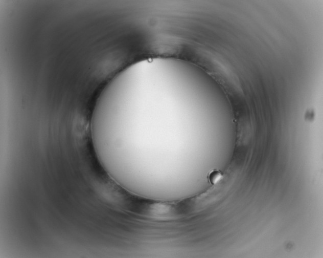 X0000103950176200809191449
