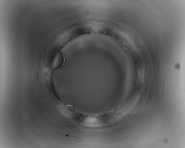 X0000103950177200809191449