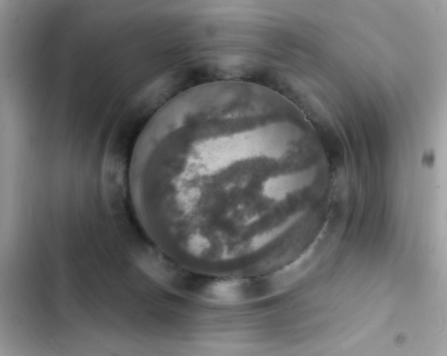 X0000103950178200809191449
