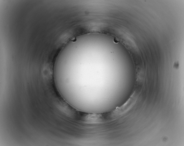 X0000103950179200809191449