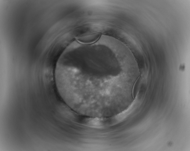 X0000103950182200809191449