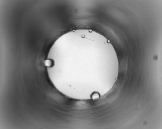 X0000103950183200809191449