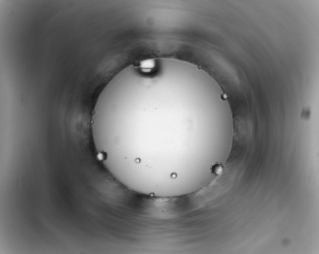 X0000103950184200809191449