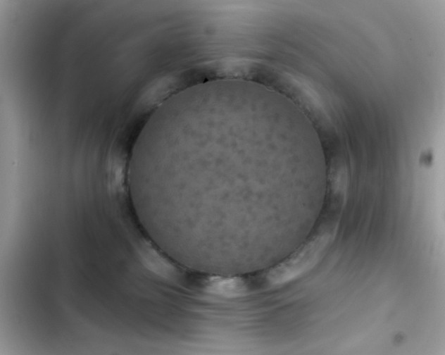 X0000103950185200809191449