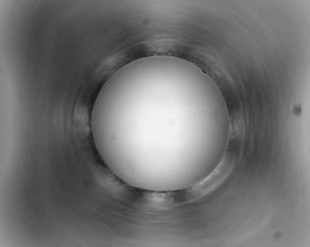 X0000103950187200809191449
