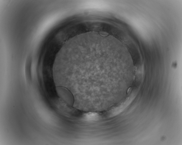 X0000103950189200809191449