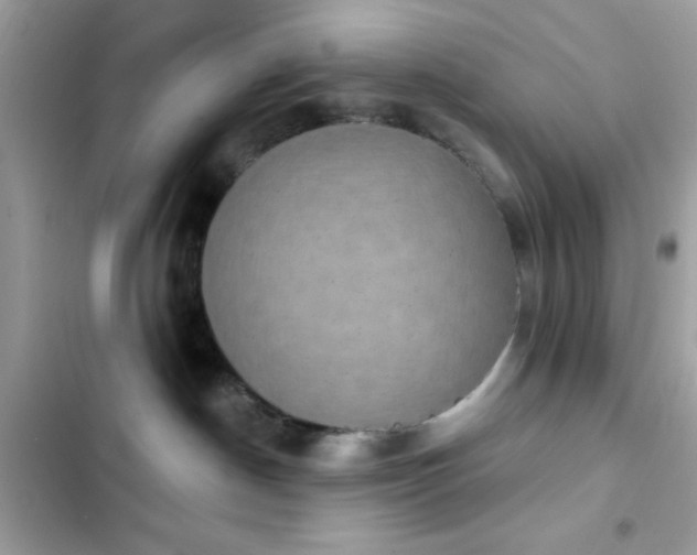 X0000103950190200809191449