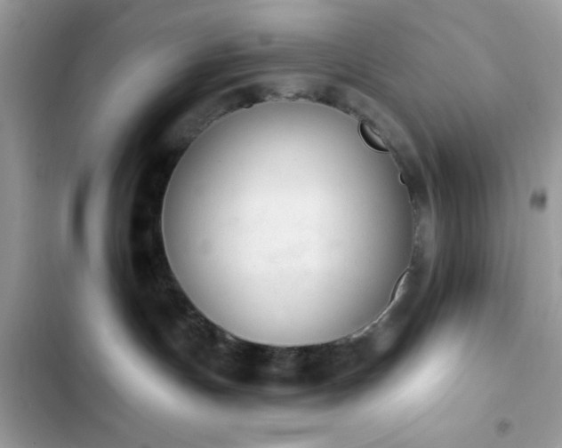 X0000103950191200809191449