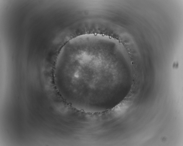 X0000103950192200809191449
