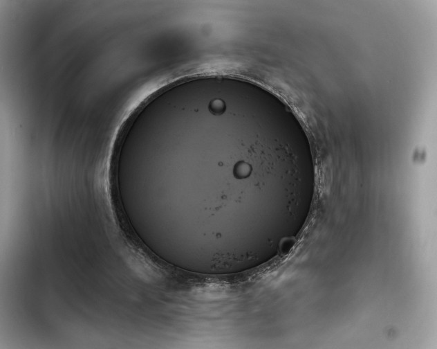 X0000103950196200809191449