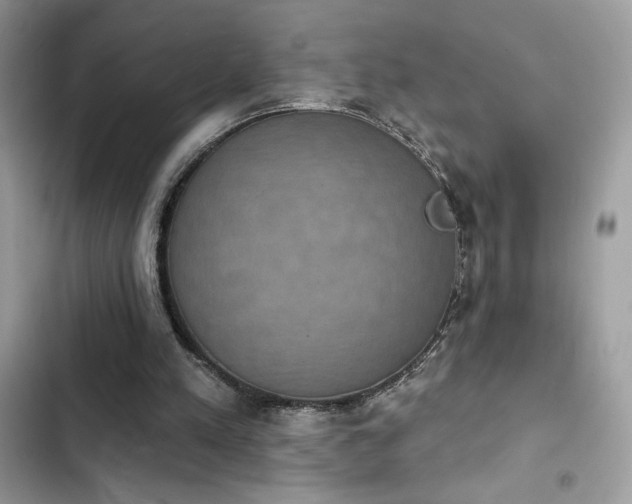 X0000103950197200809191449